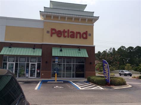 Petland jax - Apr 13, 2021 ... Please consider *not* buying a puppy at Petland or any other chain store! They deal with a lot of very filthy dirty kennels & ruthless ...